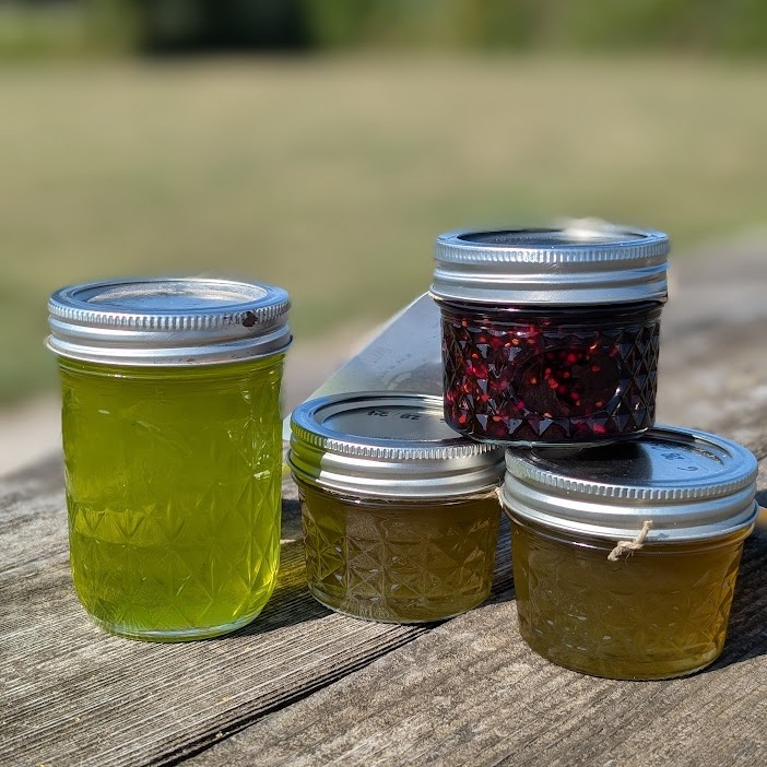 Foraging Jams & Jellies - logo